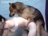 [ Animal Sex ] Skinny dark-haired legal age teenager is having 1st time with her dog